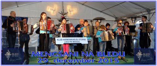 HARMONIKARJI ROBIJA STOPARJA
